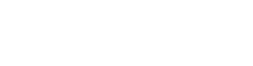 Apex Enterprise Solutions