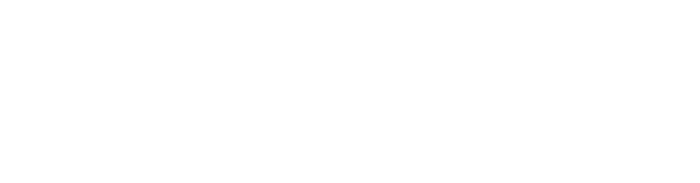 Apex Enterprise Solutions